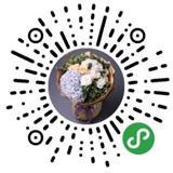 金(jin)枝(zhi)玉(yu)葉(ye)鮮花(hua)禮品(pin)速(su)遞(di)