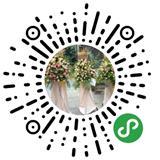 資(zi)陽(yang)同發(fa)商貿(mao)部(bu)